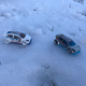 Illustration for article titled Snow day
